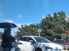 -幸福门