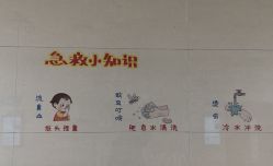 -重庆医科大学附属儿童医院(两江院区)