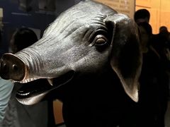 -广西壮族自治区博物馆