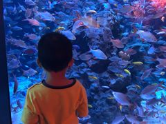 -成都浩海立方海洋公园