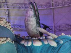 -烟台海昌鲸鲨海洋公园