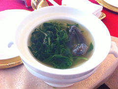 iphone_upload_pic-济南喜来登酒店-采悦轩中餐厅