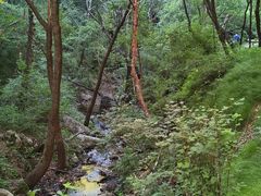 -驼梁风景区