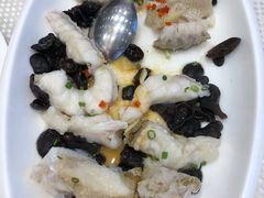 清蒸龙趸件-香港富临皇宫(五月花商业广场店)