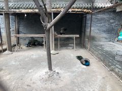 -罔极寺