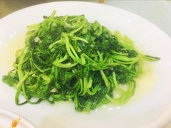 鸡毛菜-小贝壳酒楼(经九路店)