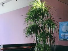 -青年公社烤鸭(肇嘉浜路店)
