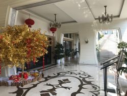 -上海首尔丽格医疗美容医院