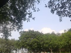 -广州雕塑公园