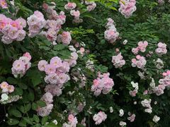 -迎晖路(地铁站)