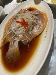 -新锦江大酒店·宴会厅·婚宴