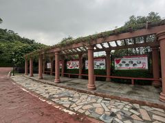 -大屏嶂森林公园