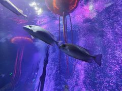 -沈阳海洋探索中心