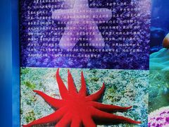 -上海海洋大学鱼文化博物馆(军工路校区)