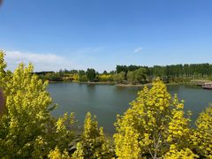 -东郊湿地公园