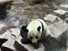 -济南野生动物世界