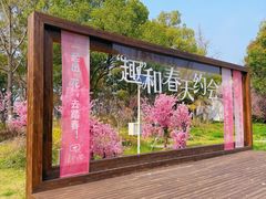 -金鸡湖桃花岛