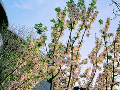 -T11生鲜超市(朝阳公园店)