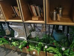 -ZM COFFEE(西安路店)