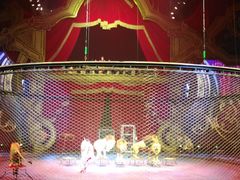 -珠海横琴长隆《卡卡虎奇遇记》