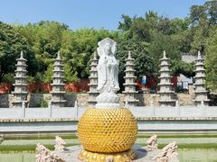 -泰山风景名胜区-普照寺