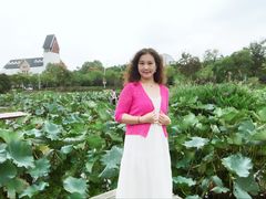 -美兰湖景区