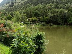 -黑龙潭公园