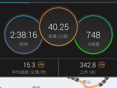 -黄金海岸