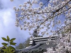 -醍醐寺