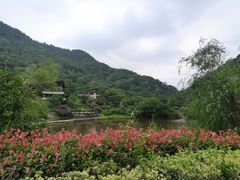 -桃花岭景区