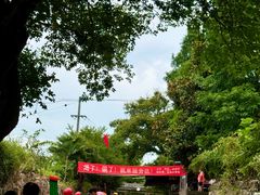 -天目湖松岭竹海漂流