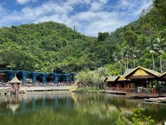 -西双版纳原始森林公园