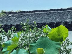 -院子餐厅·大锅菜·老杭帮(桥西直街店)
