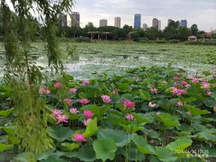 -澹台湖公园