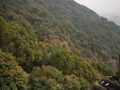 -杭州半山国家森林公园