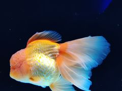 -海合安天津极地海洋公园