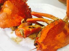 -鑫悦楼煎蟹·16年海鲜大排档