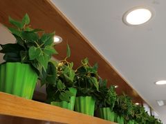 -老乡鸡(南京新街口洪武北路店)