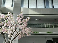 -泰州学院济川路校区-图书馆