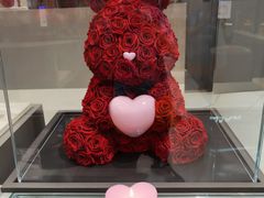 -ROSEONLY诺誓(国际广场购物中心店)