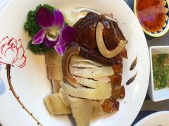 -沿江海南菜·文昌鸡祖师爷(大东海店)