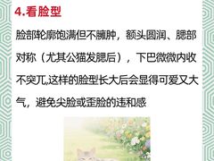 -申普宠物医院·心脏介入·心血管微创(总院)