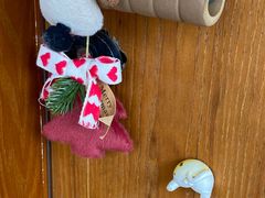 -有猫主题·治愈系猫咖(曾厝垵店)