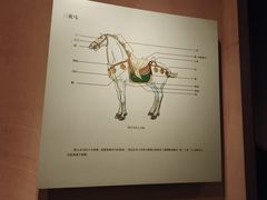 -西安大唐西市博物馆