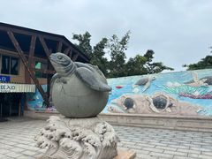 -广东惠东海龟国家级自然保护区