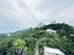 -太平山顶