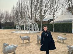 -九十九顶毡房(阜石路店)