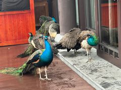 -阳朔悦榕庄·明月西餐厅&清风吧
