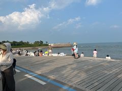 -小麦岛公园