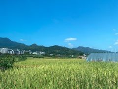 -楠溪江风景名胜区